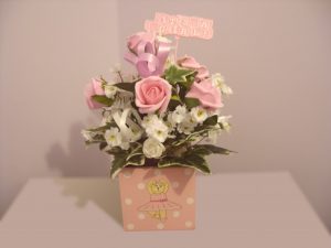 New Baby Girl Celebration Gift - £21.50