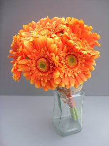Orange Gerbera, stems wrapped in orange and grey ribbon - from £62.00