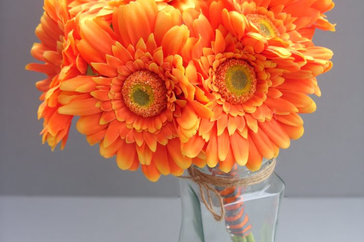 Orange Gerbera, stems wrapped in orange and grey ribbon - from £62.00