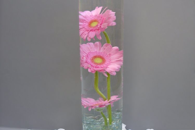 Table Decoration - Cylinder Vase with Gerbera & floating candle- from £20.00
