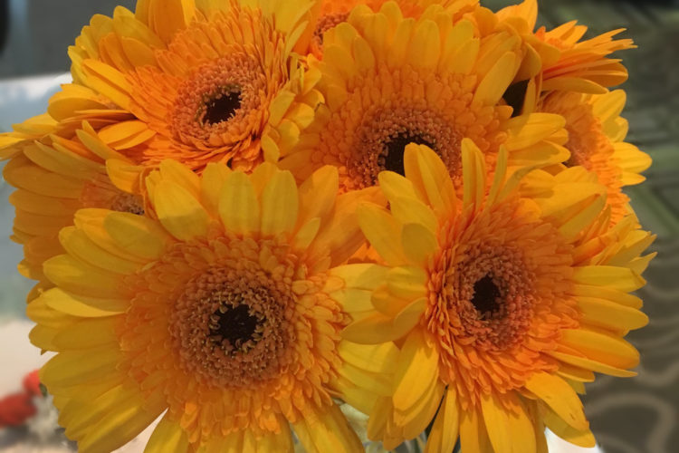 Gerbera Bouquet